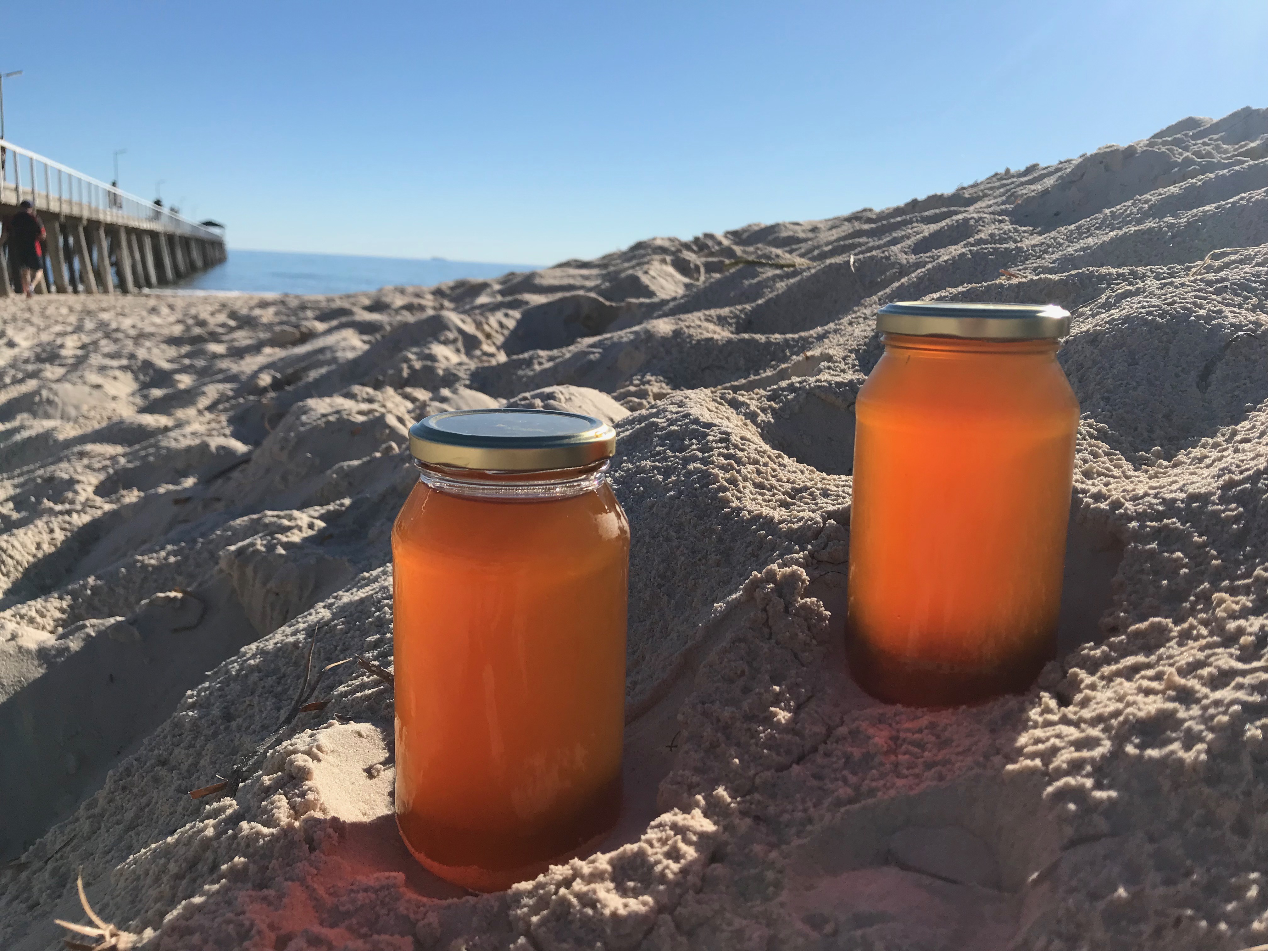 Natural Original Kombuchas at the beach from Juicing with Nadia K