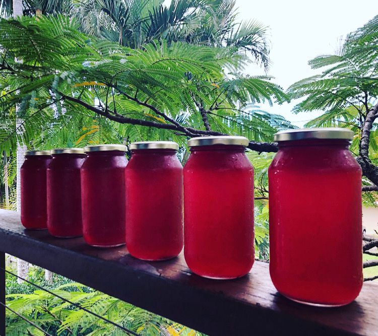 1 Days worth of Raspberry Kombucha from Juicing with Nadia K