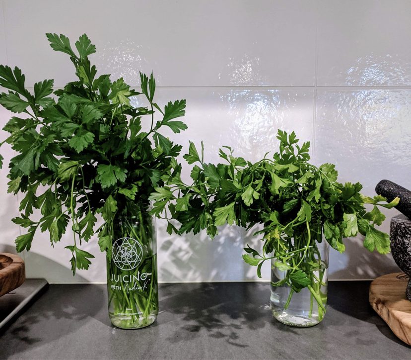 Picture of parsley in Nadia K Jar compared with a normal jar